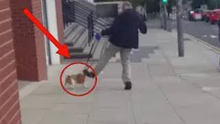 Getting out of the car, he kicked a stray dog. But when he returned, he froze in place