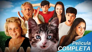 Un divertido gato-psicólogo resuelve conflictos familiares / Pelicula de Comedia Drama Familia