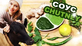 ИНДИЙСКИЙ СОУС 🍋☘️ "GREEN CHUTNEY"