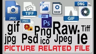 understanding  Picture related file standard extension file format