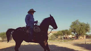 El color de la suerte, kanales ( El TIO en su rancho)