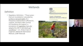 Wetlands Policy Forum