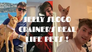 Jelly💚, Slogo❤️, Crainer💛 and their Lovable Real Life pets💕