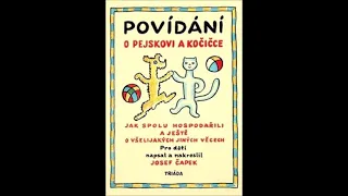 O pejskovi a kočičce - O pyšné noční košilce (od Amálky Šnapkové)