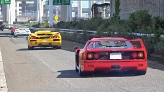 【大黒PA】スーパーカー加速サウンド／Supercars sound in Japan. New GT3RS, F40, DiabloSE, Aventador, and more！ #スーパーカー