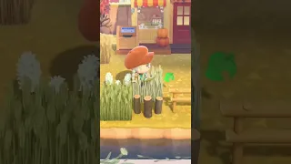 Making Nook’s Cranny Prettier in Animal Crossing New Horizons