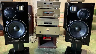 Только Pioneer S-9500DV & M-AX10 & PD T07S