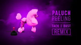 Paluch - Peeling Taek|Dust 2step Remix