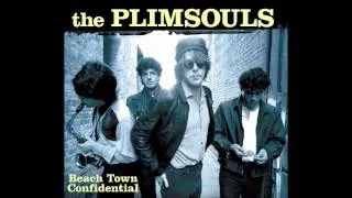 The Plimsouls - How Long Will it Take