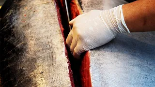 Giant Tuna Cutting Show Sashimi / Korean street food/ 거대한 참치 해체쇼 참치회