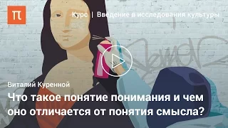 Смысл и понимание в гуманитарных исследованиях — Виталий Куренной