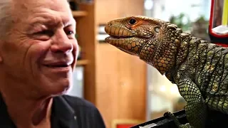 От жаб до аллигаторов: француз коллекционирует рептилий