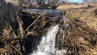 “THE ULTIMATE DAM FAIL” Beaver Dam Collapses Draining In Minutes !