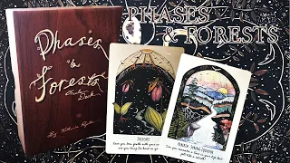 Phases and Forests Oracle by Kat Ryalls | Flipthrough, Guidebook, Pairings & Reading