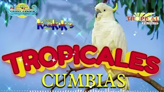 🔆CUMBIAS TROPICALES MIX 🦜VIEJITAS TROPICALES🎺ACAPULCO TROPICAL, TROPICAL FLORIDA, LOS KARKIS...