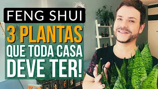 3 PLANTAS QUE TODA CASA DEVE TER SEGUNDO O FENG SHUI/ LUIZ NETTO