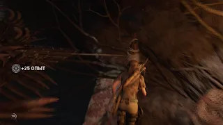 Shadow of the Tomb Raider прохождение : 11. Дерево жизни (испытание)