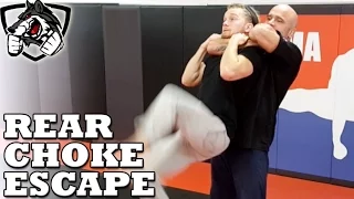 How to Escape a Standing Rear Choke w/ Bas Rutten