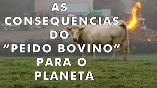 O que acontece com o planeta quando as vacas soltam pum?