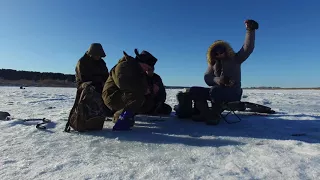 Не важно холодно там или жарко, кто куда а мы на рыбалку