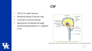 Neuroanesthesia Keyword Review ITE - (Dr. Poore)