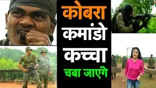 जंगल में युद्ध के महारथी हैं कोबरा कमांडो | Bharat Tak