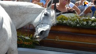 Horse Says Goodbye at his Human Dad's Funeral | The Dodo