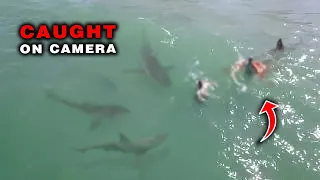 The Most HORRIFYING Shark Attacks Ever Recorded