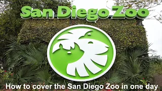 10 tips on how to cover San Diego Zoo in a day