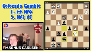 Carlsen Stuns His Opponent by Unveiling the Unsound Colorado Gambit.