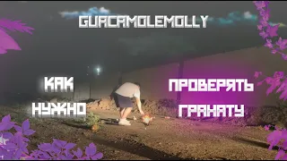 Как нужно проверять гранату GUACAMOLEMOLLY ГУАКАМОЛЕ ВИНМЕНТ