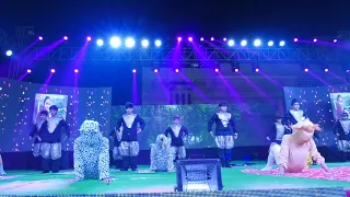 SAVE ANIMAL PERFORMANCE - Annual Function 2018 - 19