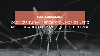 May Berenbaum: OMG! Cultural Perceptions of Genetic Modification for Mosquito Control