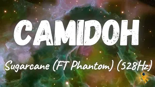 Camidoh - Sugarcane ft. Phantom (528Hz)