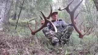 2016 North Idaho Elk Shed Hunting and Spring Bear Hunting (BIG RED SEVEN) Brandon Pitcher