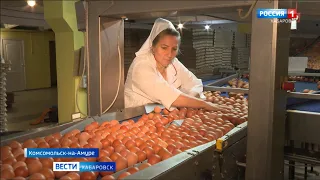 10 миллионов яиц в месяц планируют выпускать на Комсомольской птицефабрике уже в этом году