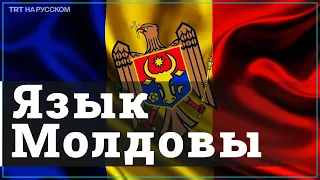 Румынский и молдавский – один язык?