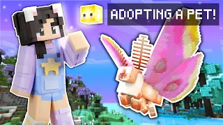 💜Adopting A PET! Minecraft StarQuest Ep. 2