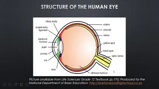 LIFE SCIENCES: HUMAN EYE GRADE 12