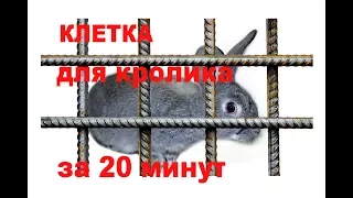 Простая и дешевая клетка для кролика за 20 минут