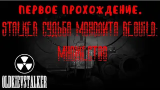 S.T.A.L.K.E.R. Судьба монолита REBUILD: множество. Полное прохождение. #stalker2  #сталкермоды