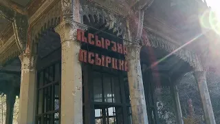 ПЕРЕЕХАЛИ НА ЮГ В АБХАЗИЮ 🔥 В Новом Афоне завели подснежники в январе