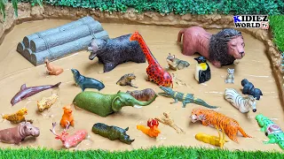 Zoo & African Safari Animals Stuck in Mud! | Wildlife Education for Kids | Kidiez World TV