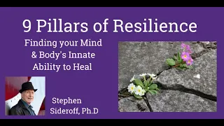 9 Pillars of Resilience