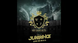 WF IMPORTS ESPECIAL 1 ANO (DJ JUNINHO ORIGINAL)