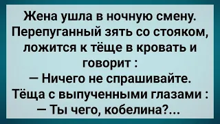 Как Зять Ночью Тещу Напугал! Сборник Свежих Анекдотов! Юмор!