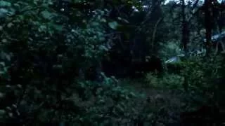 Ужасы Horror "Forest" Лес. (part 1)