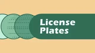 Georgia License Plate Options