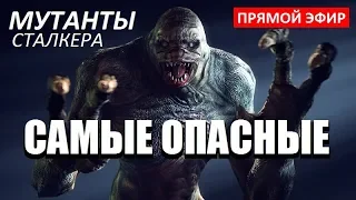 САМЫЕ ОПАСНЫЕ МУТАНТЫ В STALKER!!!