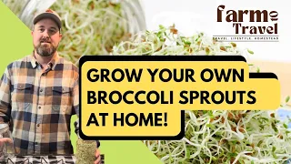 Grow your own Broccoli Sprouts in just 5 days!!